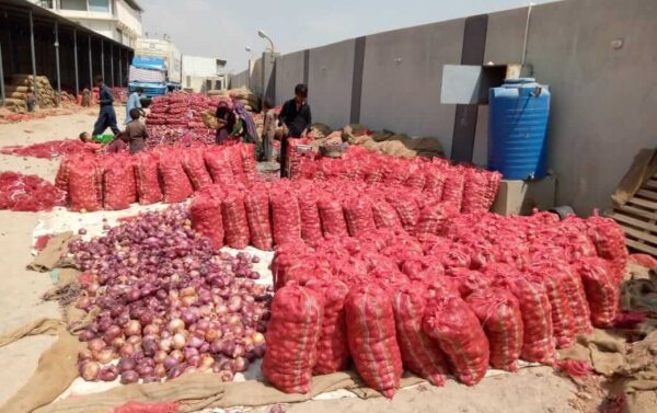 Mulara Group Building Inside View